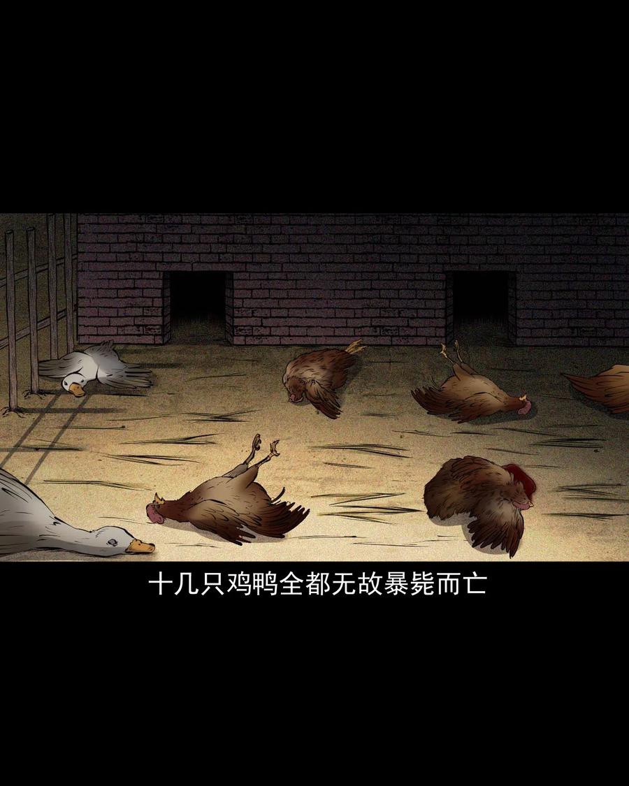 三老爷惊奇手札韩漫全集-439 老烟鬼58无删减无遮挡章节图片 