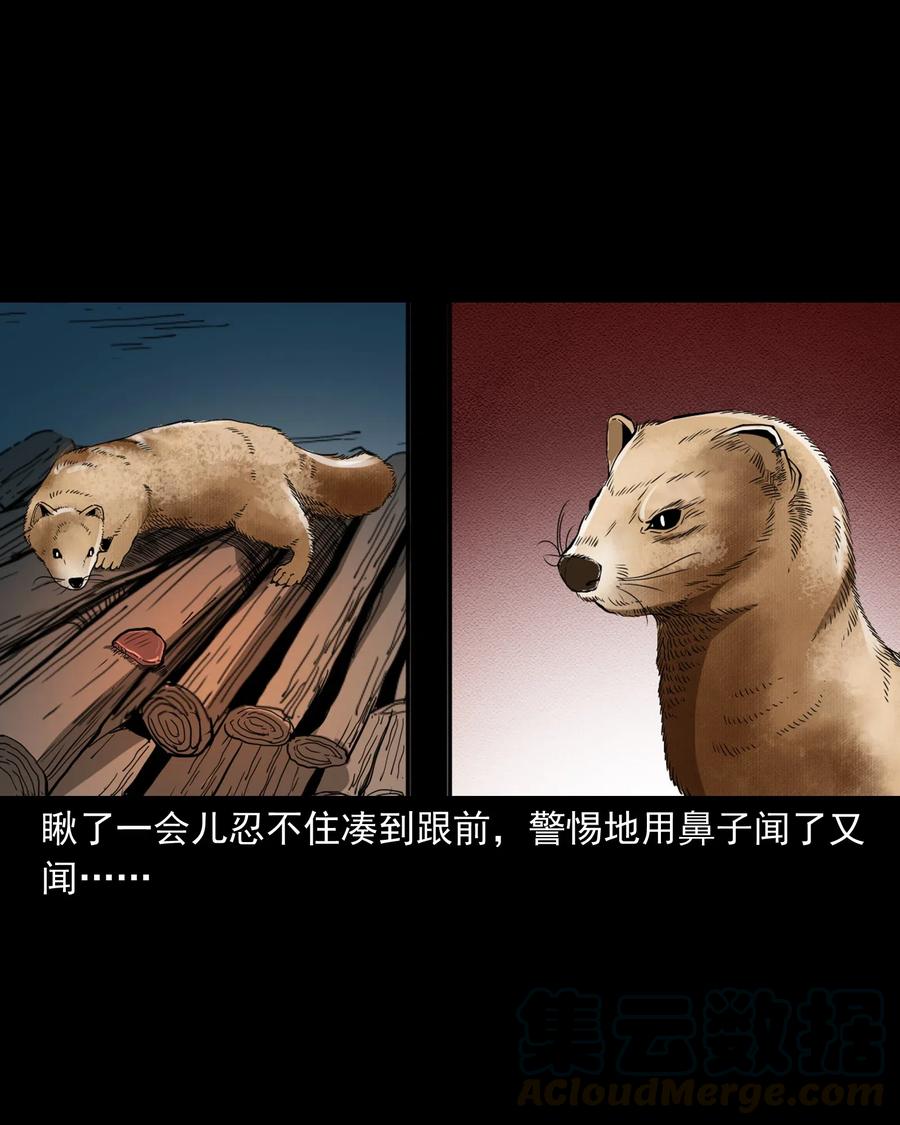 三老爷惊奇手札韩漫全集-442 黄大仙无删减无遮挡章节图片 