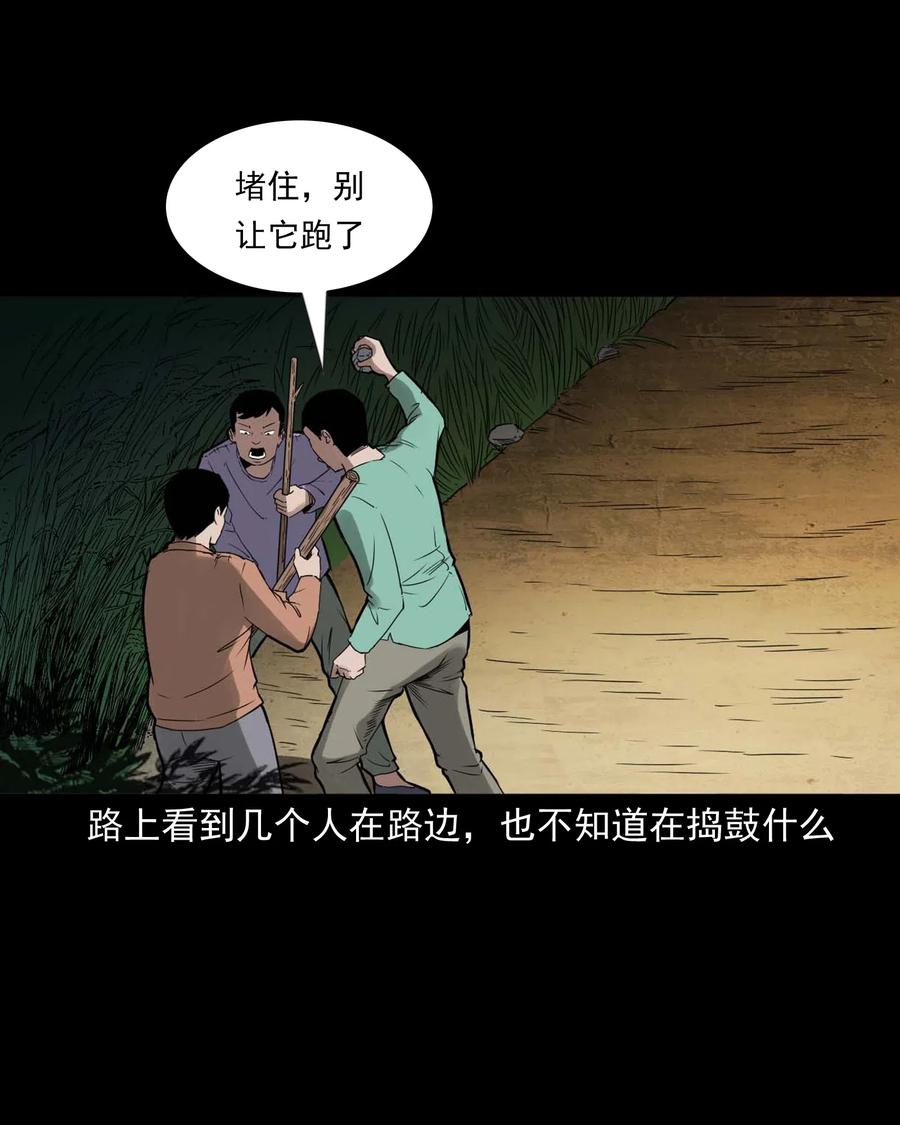 三老爷惊奇手札韩漫全集-444 白神医无删减无遮挡章节图片 