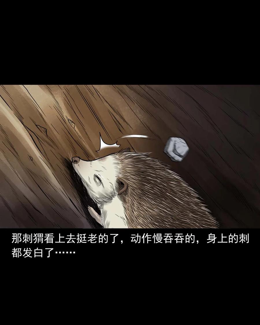 三老爷惊奇手札韩漫全集-444 白神医无删减无遮挡章节图片 