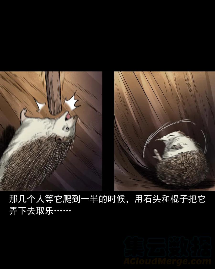三老爷惊奇手札韩漫全集-444 白神医无删减无遮挡章节图片 