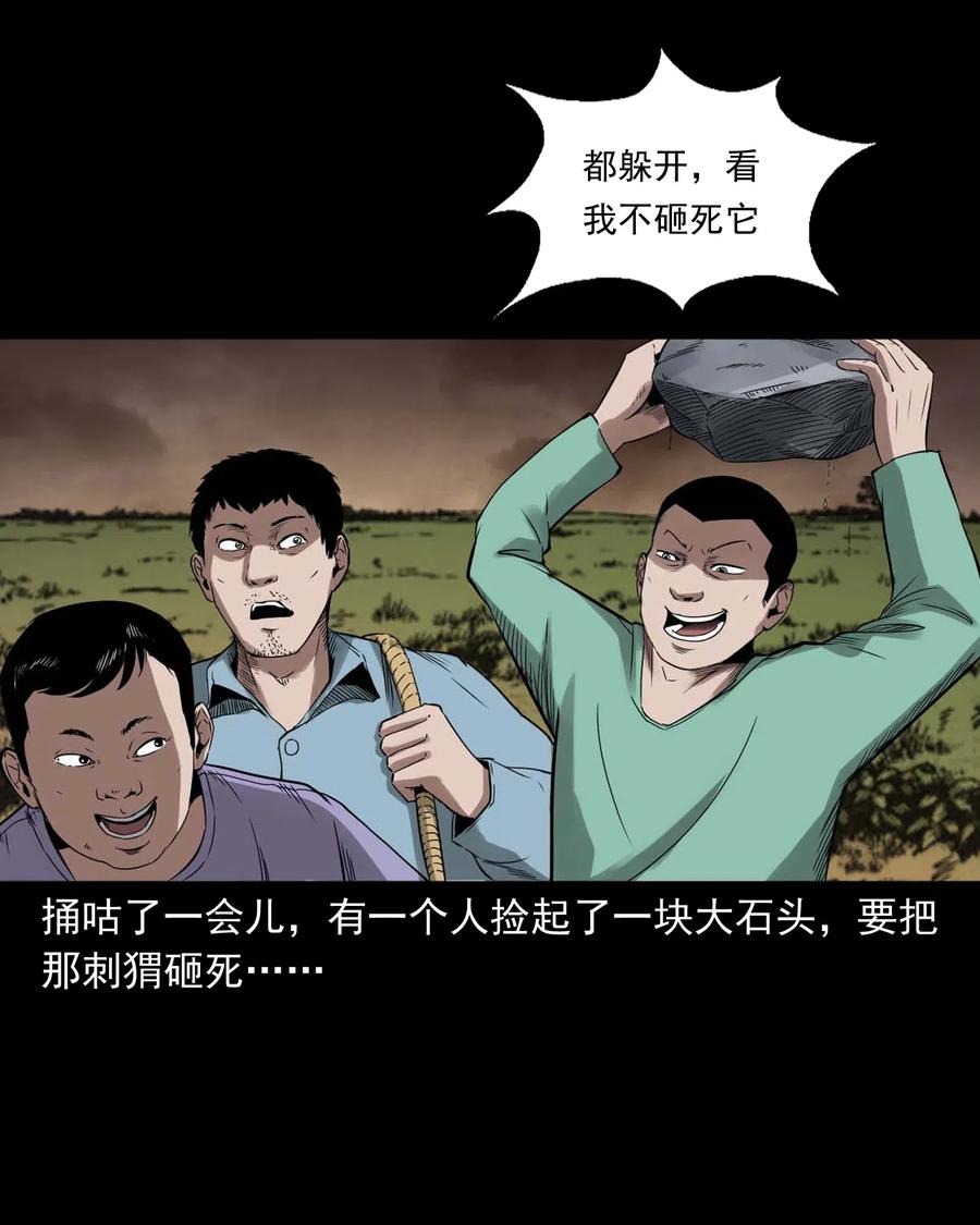 三老爷惊奇手札韩漫全集-444 白神医无删减无遮挡章节图片 