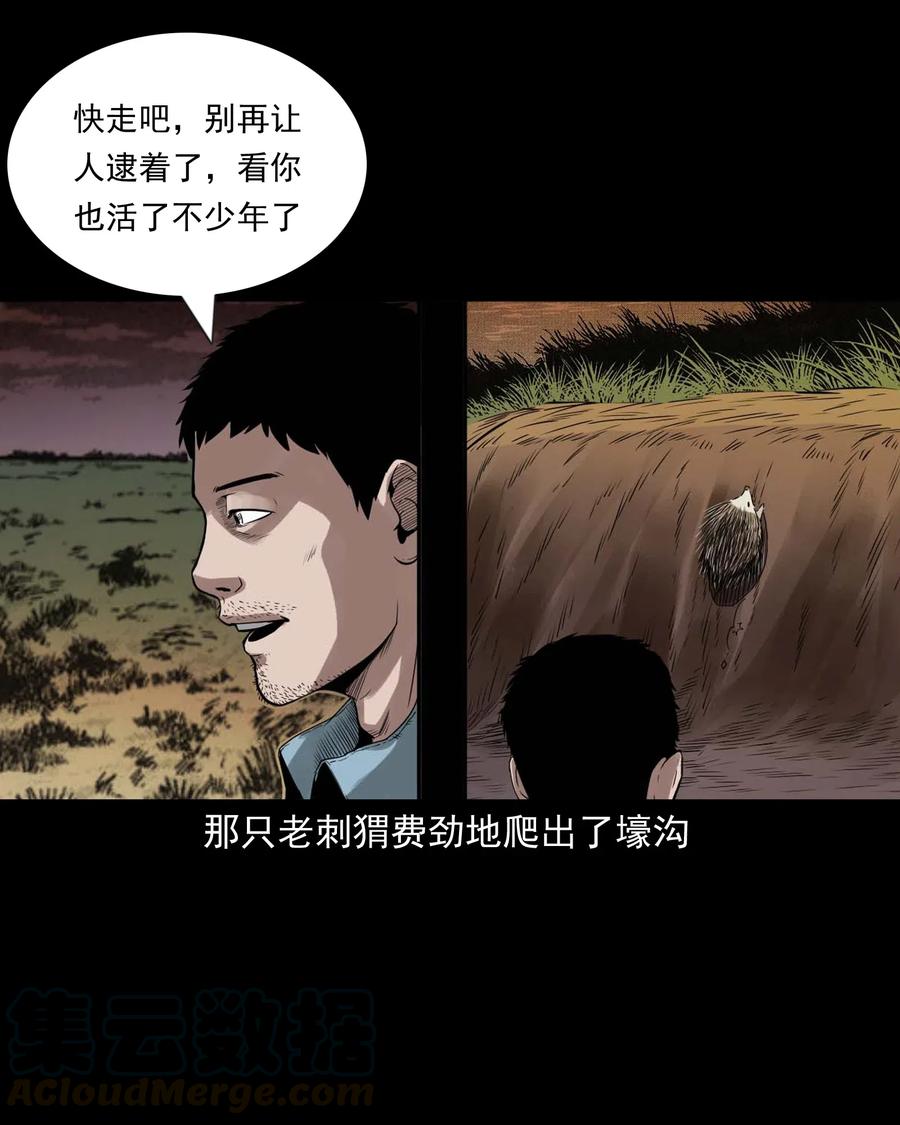 三老爷惊奇手札韩漫全集-444 白神医无删减无遮挡章节图片 