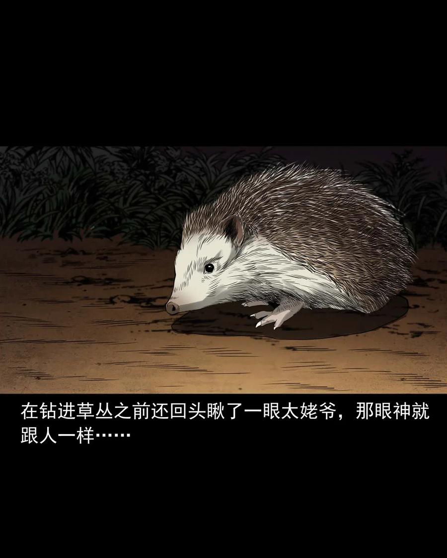 三老爷惊奇手札韩漫全集-444 白神医无删减无遮挡章节图片 