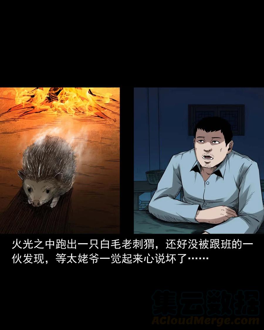 三老爷惊奇手札韩漫全集-444 白神医无删减无遮挡章节图片 