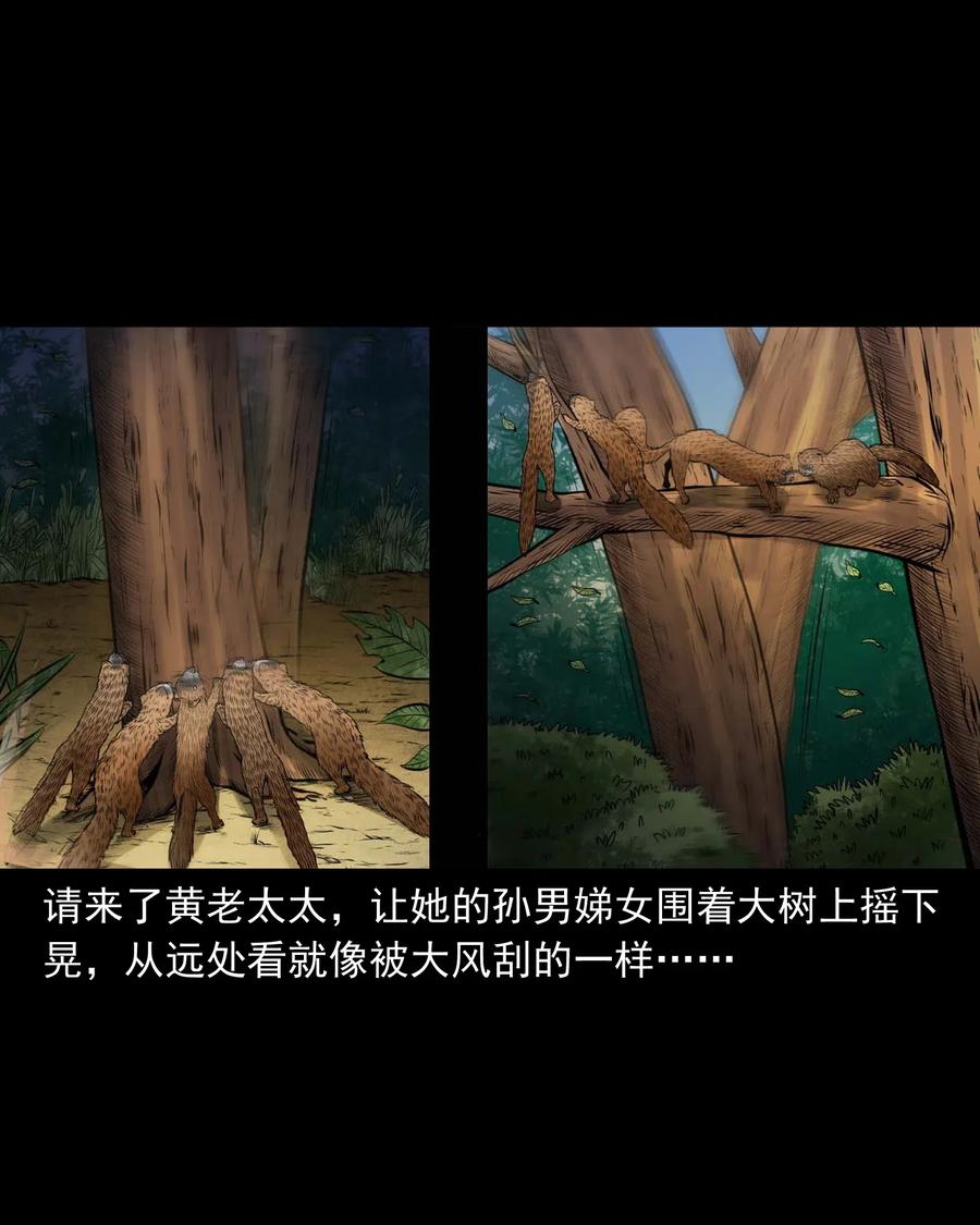 三老爷惊奇手札韩漫全集-447 老烟鬼62无删减无遮挡章节图片 