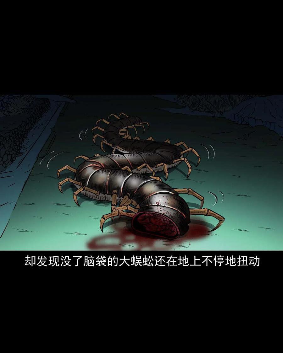 三老爷惊奇手札韩漫全集-451 老烟鬼64无删减无遮挡章节图片 