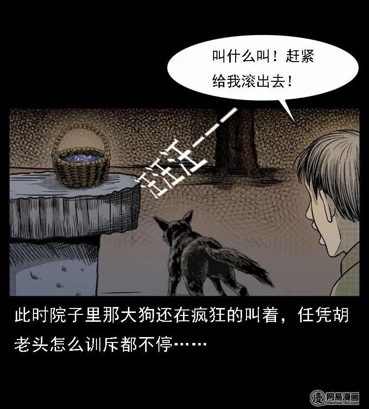 三老爷惊奇手札韩漫全集-47 赤脚医生（一）无删减无遮挡章节图片 