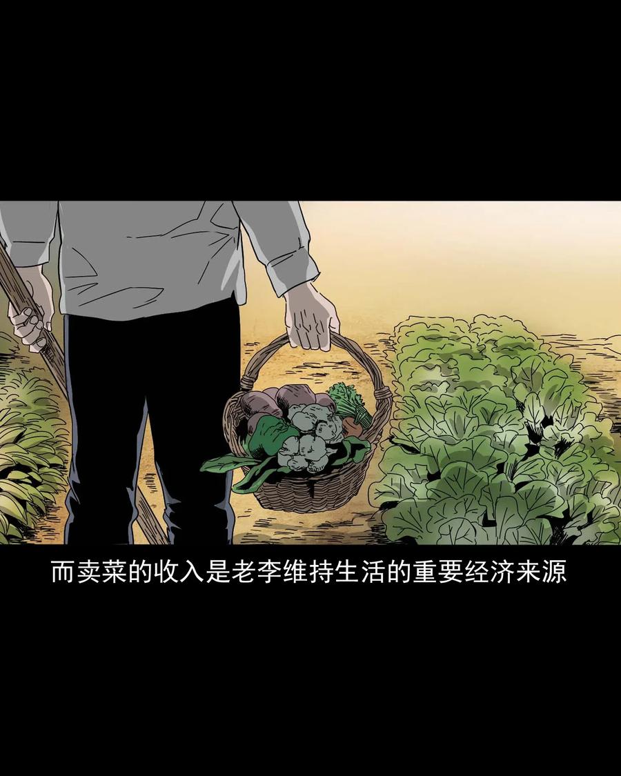 三老爷惊奇手札韩漫全集-463 老伙计无删减无遮挡章节图片 