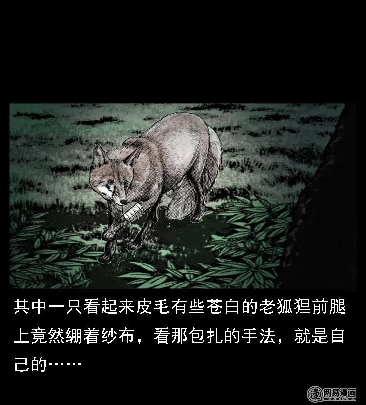 三老爷惊奇手札韩漫全集-48 赤脚医生（二）无删减无遮挡章节图片 