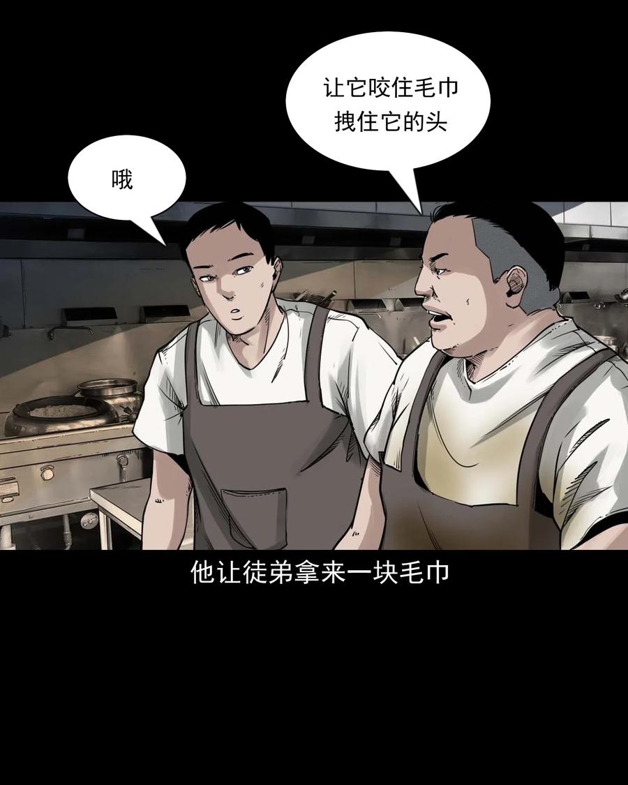 三老爷惊奇手札韩漫全集-471 吃鳖无删减无遮挡章节图片 