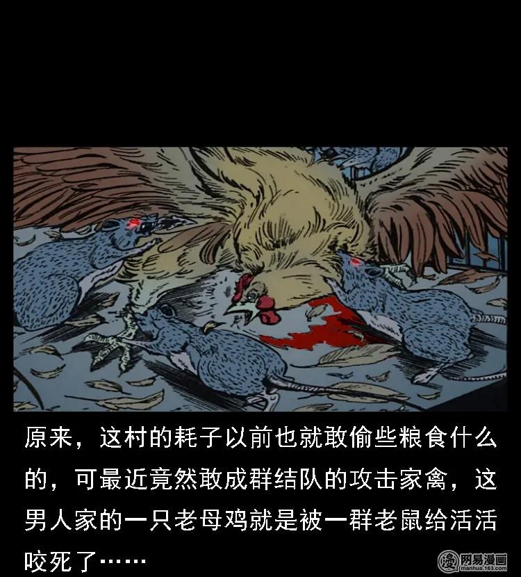 三老爷惊奇手札韩漫全集-49 马疯子外传（上）无删减无遮挡章节图片 