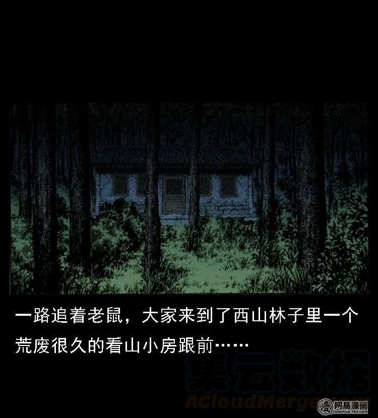 三老爷惊奇手札韩漫全集-49 马疯子外传（上）无删减无遮挡章节图片 
