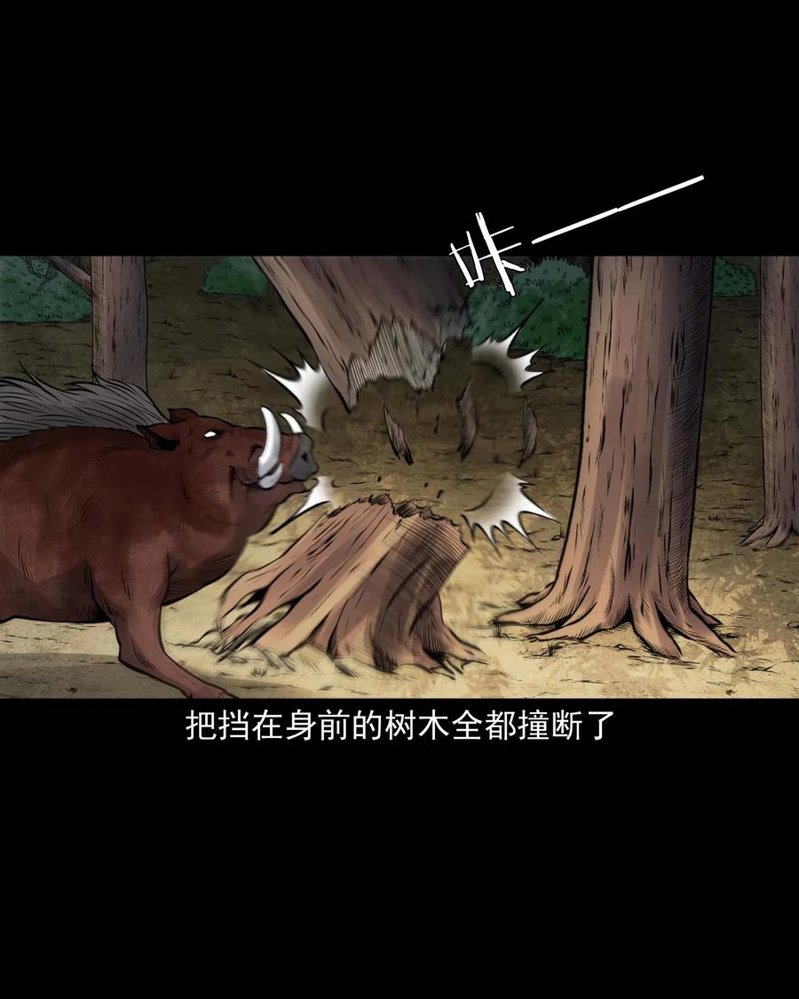 三老爷惊奇手札韩漫全集-484 老烟鬼80无删减无遮挡章节图片 