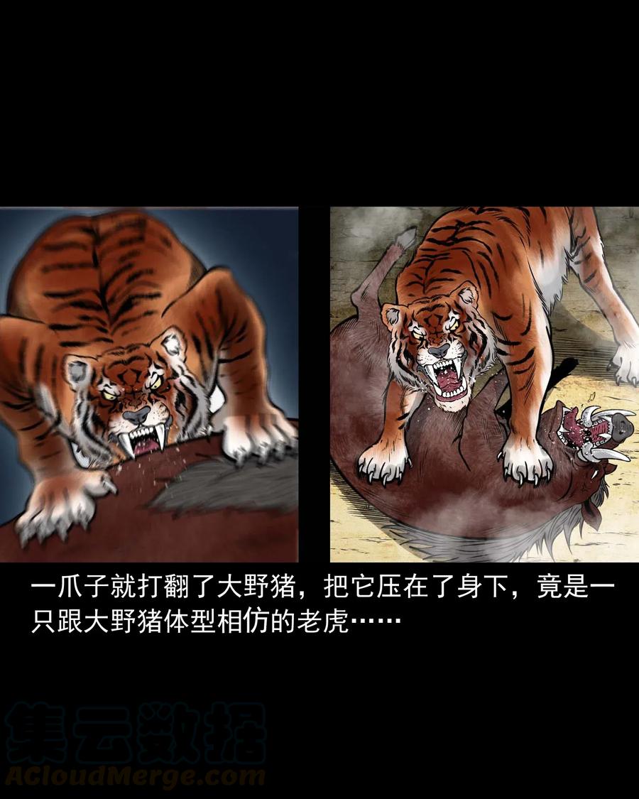 三老爷惊奇手札韩漫全集-484 老烟鬼80无删减无遮挡章节图片 