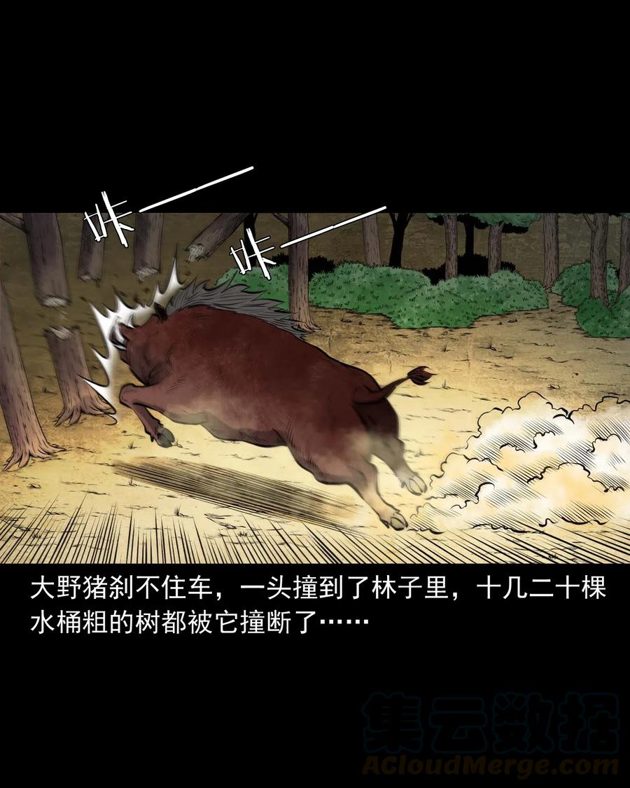 三老爷惊奇手札韩漫全集-484 老烟鬼80无删减无遮挡章节图片 