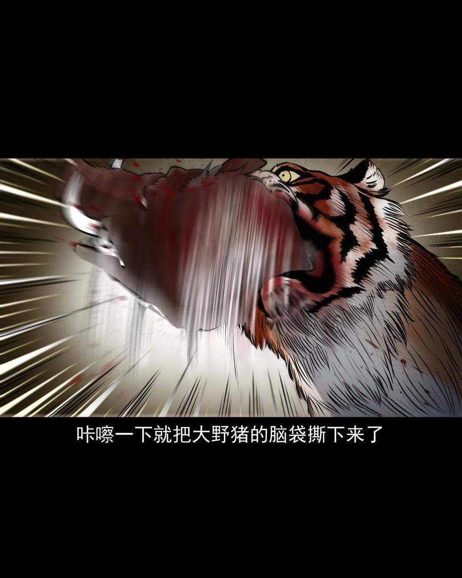 三老爷惊奇手札韩漫全集-484 老烟鬼80无删减无遮挡章节图片 