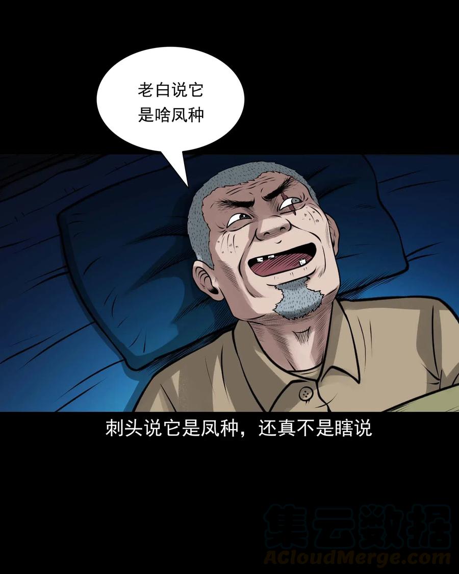 三老爷惊奇手札韩漫全集-488 老烟鬼82无删减无遮挡章节图片 