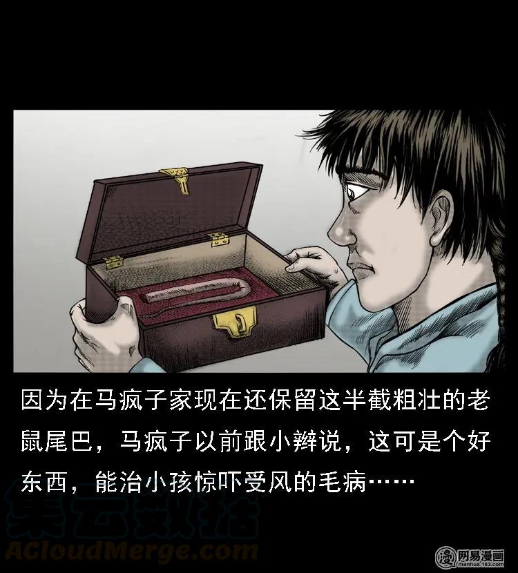 三老爷惊奇手札韩漫全集-50 马疯子外传（下）无删减无遮挡章节图片 