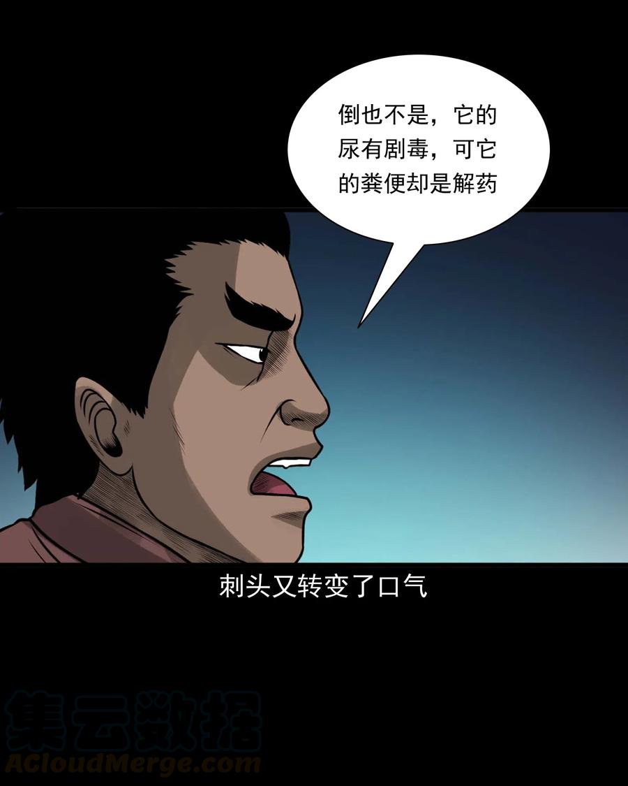 三老爷惊奇手札韩漫全集-490 老烟鬼83无删减无遮挡章节图片 