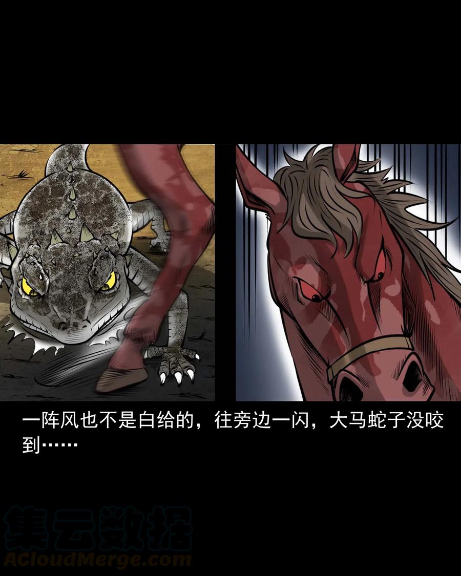 三老爷惊奇手札韩漫全集-492 老烟鬼84无删减无遮挡章节图片 