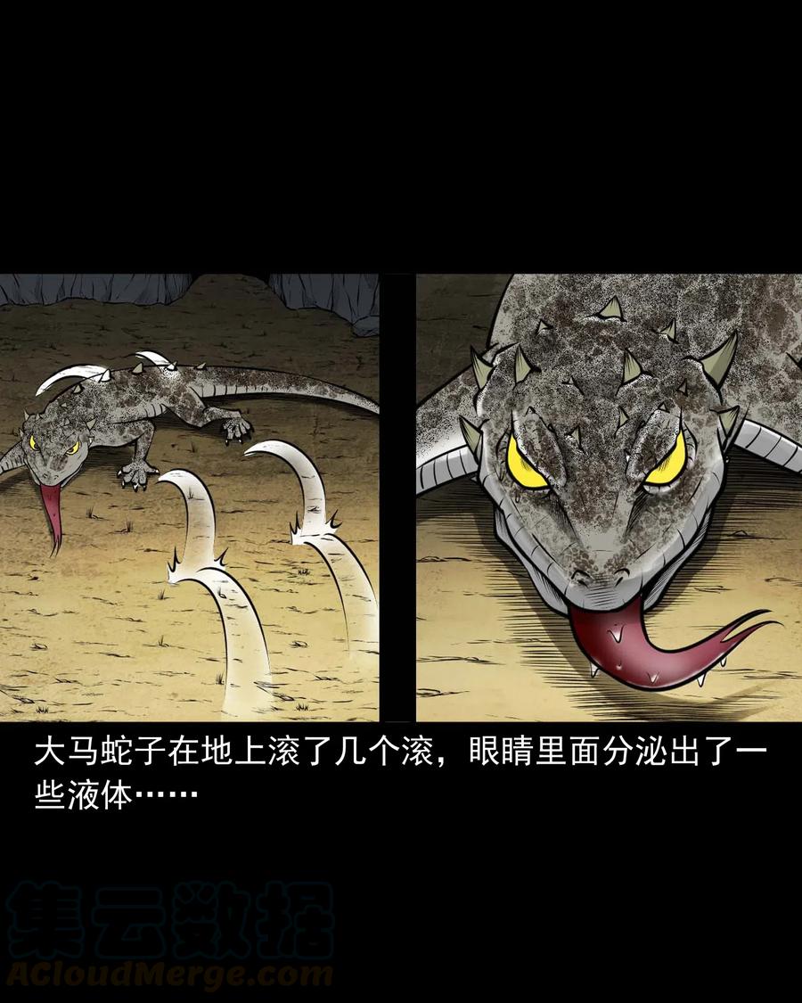 三老爷惊奇手札韩漫全集-492 老烟鬼84无删减无遮挡章节图片 