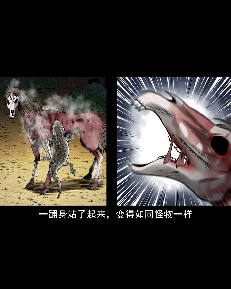 三老爷惊奇手札韩漫全集-492 老烟鬼84无删减无遮挡章节图片 