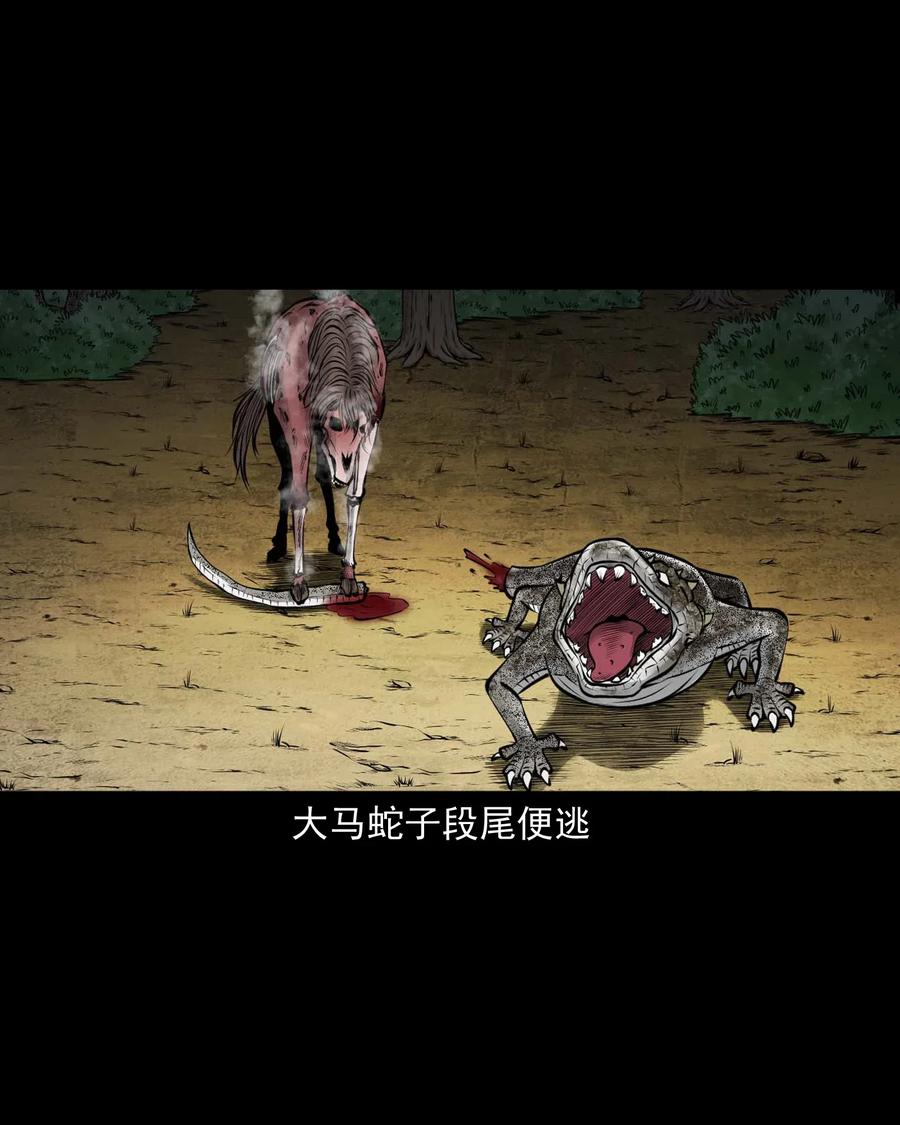 三老爷惊奇手札韩漫全集-492 老烟鬼84无删减无遮挡章节图片 