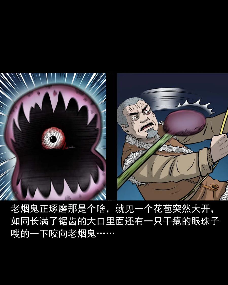 三老爷惊奇手札韩漫全集-494 老烟鬼85无删减无遮挡章节图片 