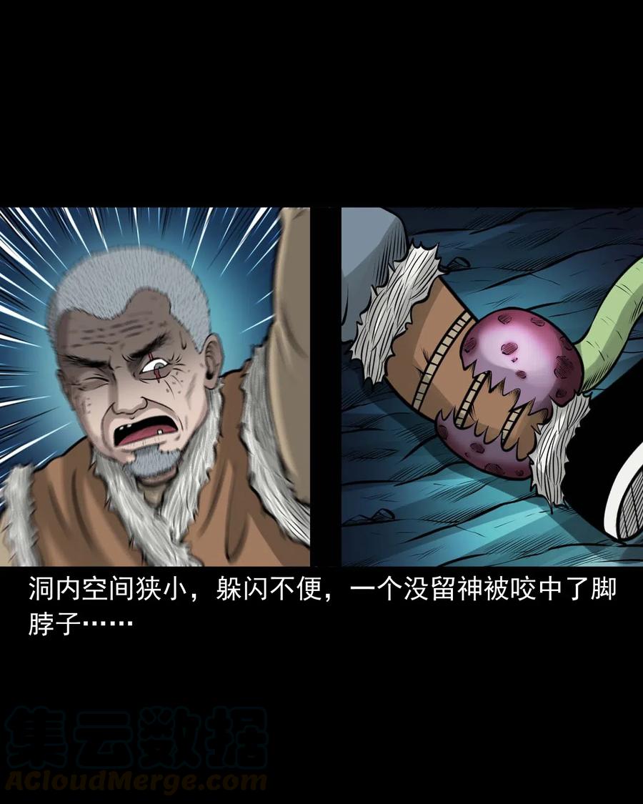 三老爷惊奇手札韩漫全集-494 老烟鬼85无删减无遮挡章节图片 