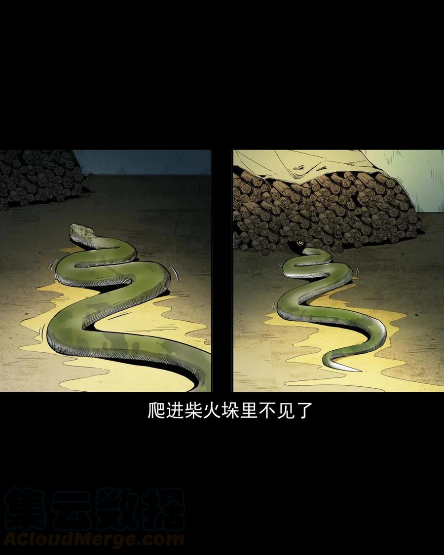 三老爷惊奇手札韩漫全集-495 药酒无删减无遮挡章节图片 