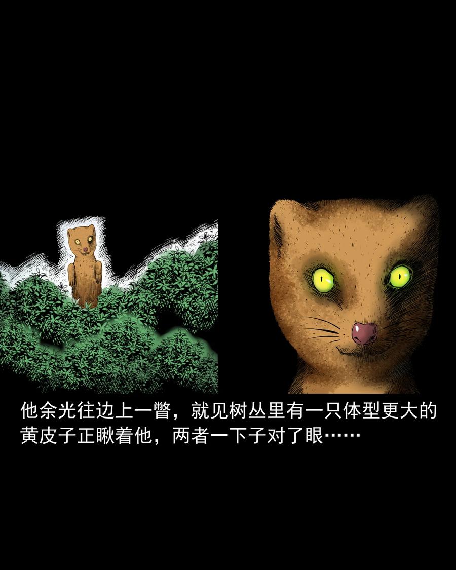 三老爷惊奇手札韩漫全集-501 山神传说一无删减无遮挡章节图片 