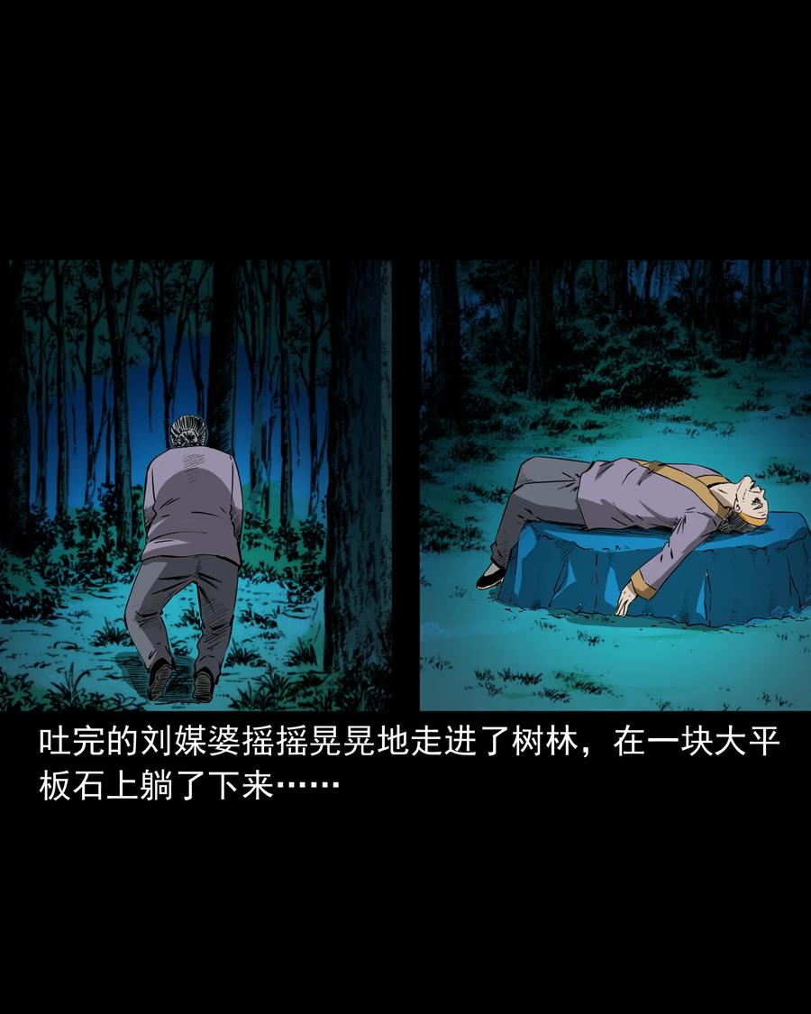 三老爷惊奇手札韩漫全集-501 山神传说一无删减无遮挡章节图片 