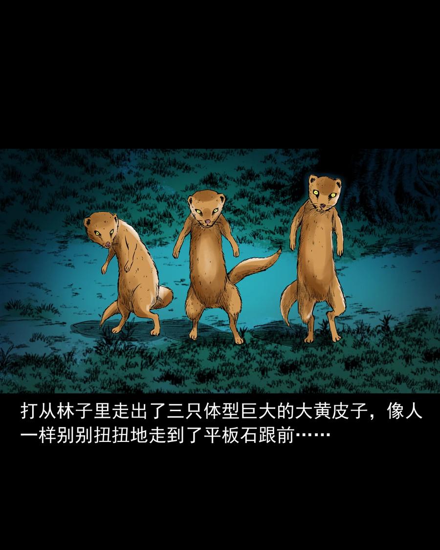 三老爷惊奇手札韩漫全集-501 山神传说一无删减无遮挡章节图片 