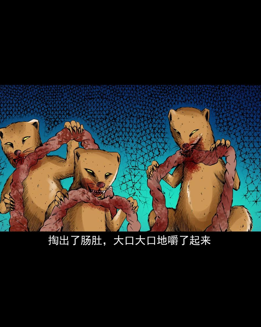 三老爷惊奇手札韩漫全集-501 山神传说一无删减无遮挡章节图片 