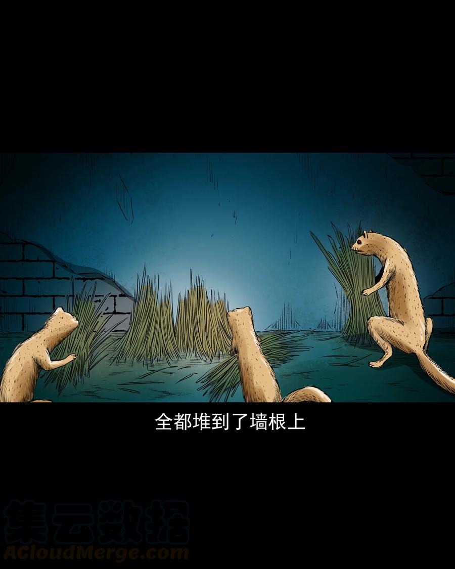 三老爷惊奇手札韩漫全集-502 山神传说二无删减无遮挡章节图片 