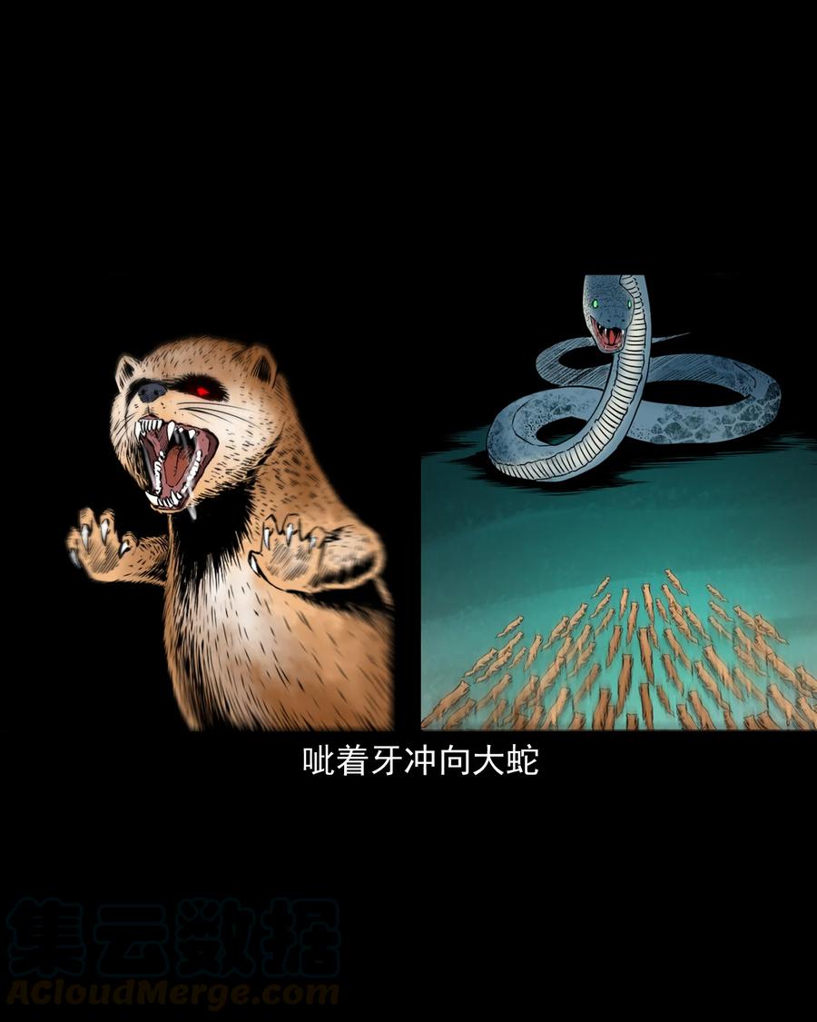 三老爷惊奇手札韩漫全集-505 山神传说五无删减无遮挡章节图片 