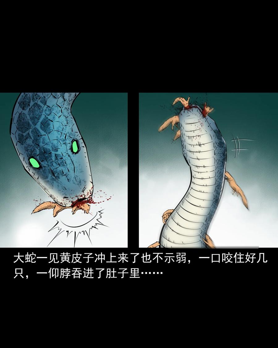 三老爷惊奇手札韩漫全集-505 山神传说五无删减无遮挡章节图片 