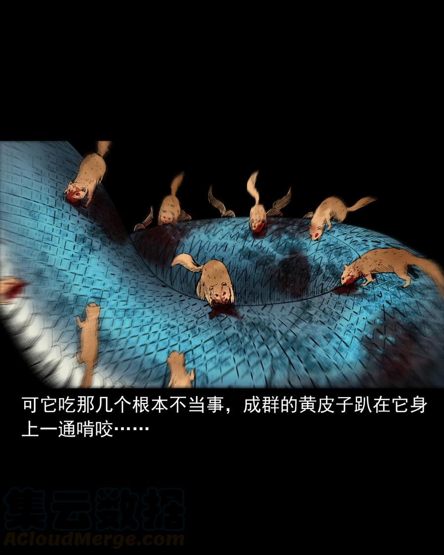 三老爷惊奇手札韩漫全集-505 山神传说五无删减无遮挡章节图片 