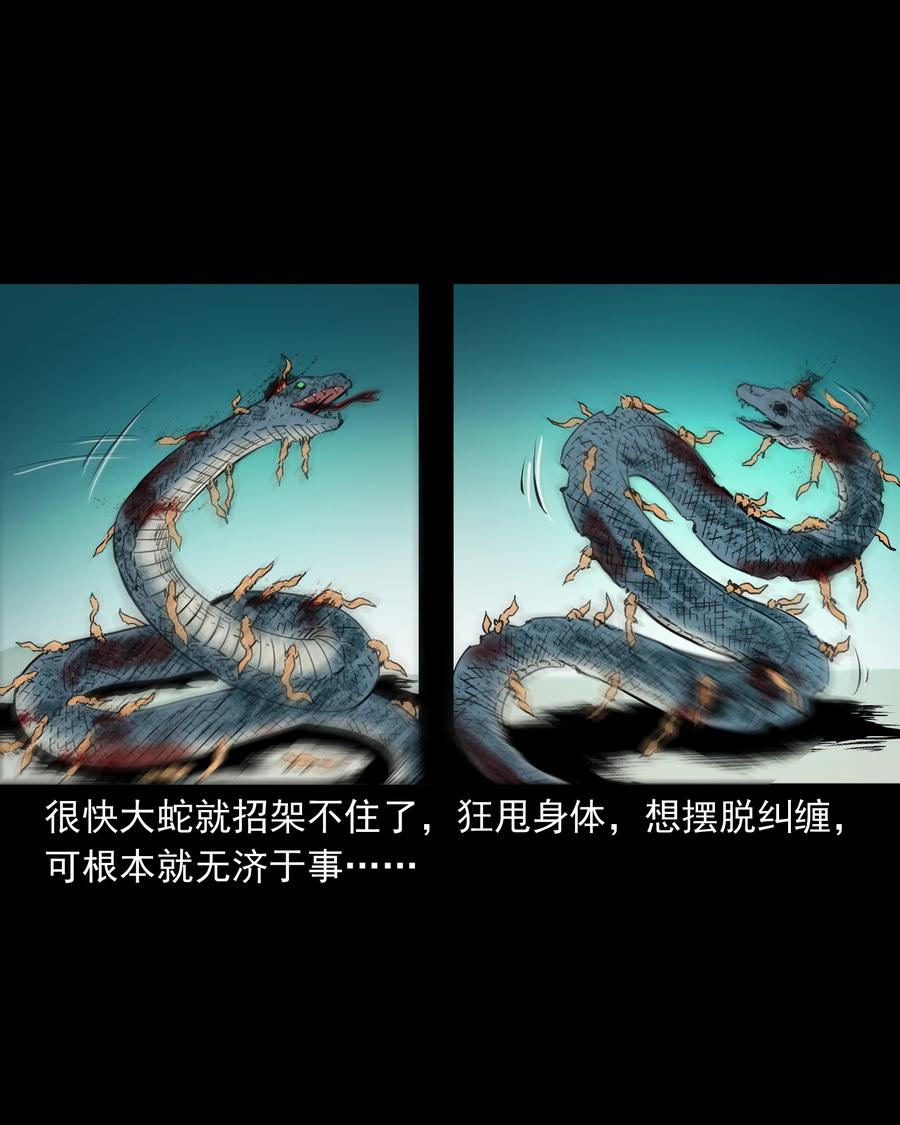 三老爷惊奇手札韩漫全集-505 山神传说五无删减无遮挡章节图片 