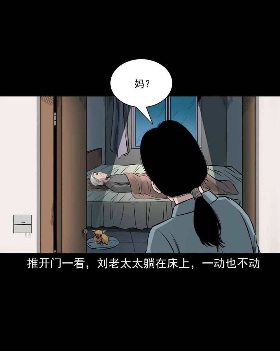三老爷惊奇手札韩漫全集-509 狗命无删减无遮挡章节图片 