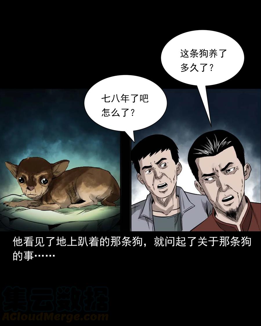 三老爷惊奇手札韩漫全集-509 狗命无删减无遮挡章节图片 