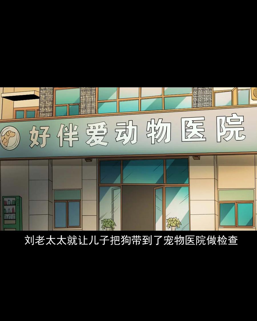三老爷惊奇手札韩漫全集-509 狗命无删减无遮挡章节图片 