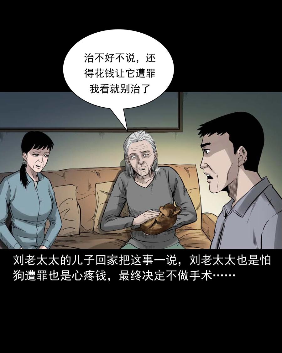 三老爷惊奇手札韩漫全集-509 狗命无删减无遮挡章节图片 