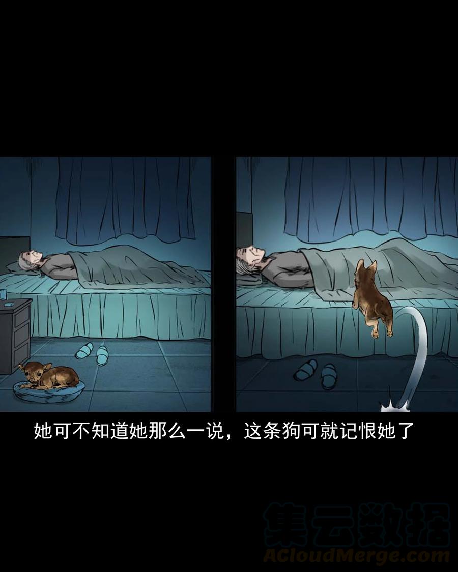 三老爷惊奇手札韩漫全集-509 狗命无删减无遮挡章节图片 