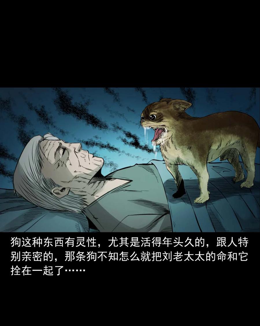三老爷惊奇手札韩漫全集-509 狗命无删减无遮挡章节图片 