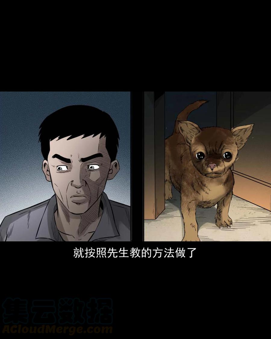 三老爷惊奇手札韩漫全集-509 狗命无删减无遮挡章节图片 