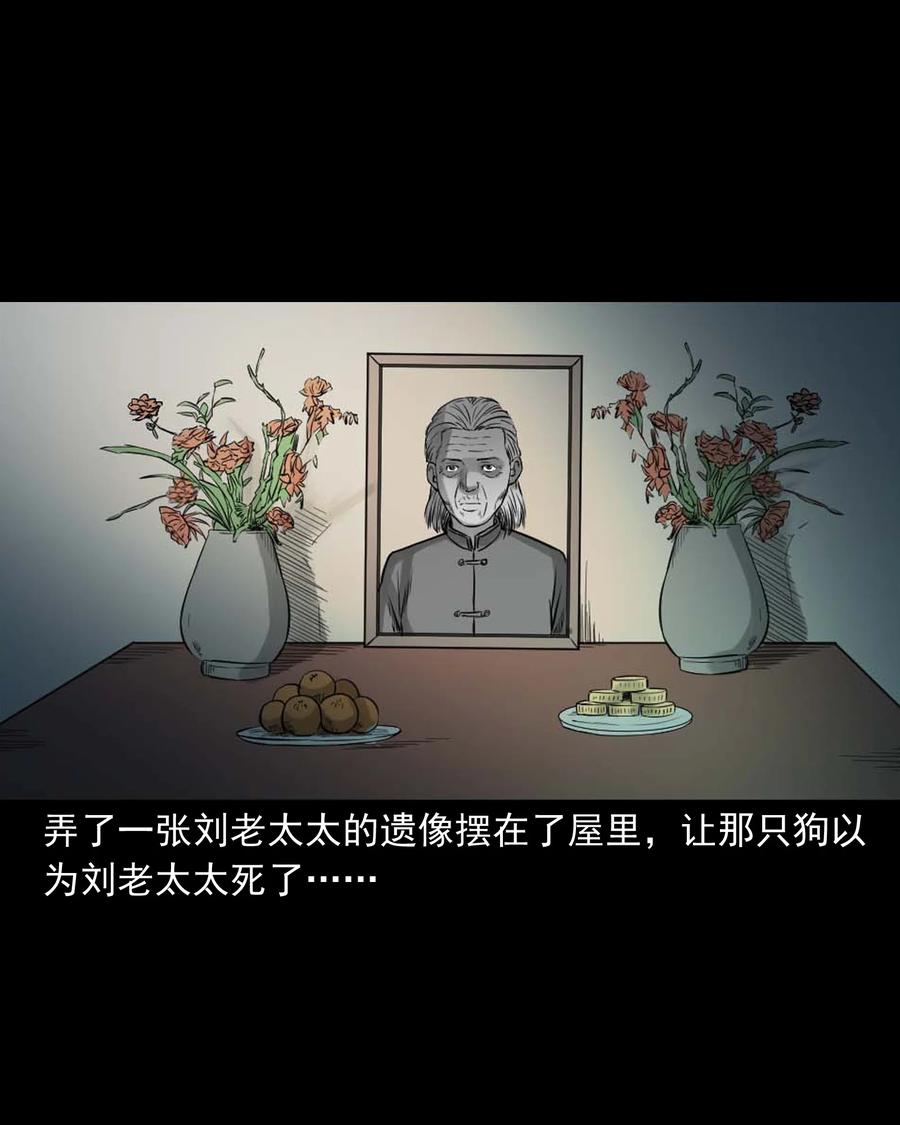 三老爷惊奇手札韩漫全集-509 狗命无删减无遮挡章节图片 