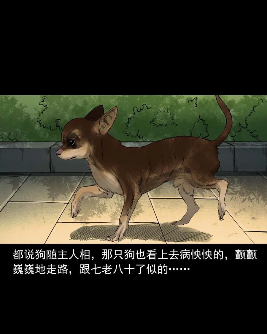 三老爷惊奇手札韩漫全集-509 狗命无删减无遮挡章节图片 