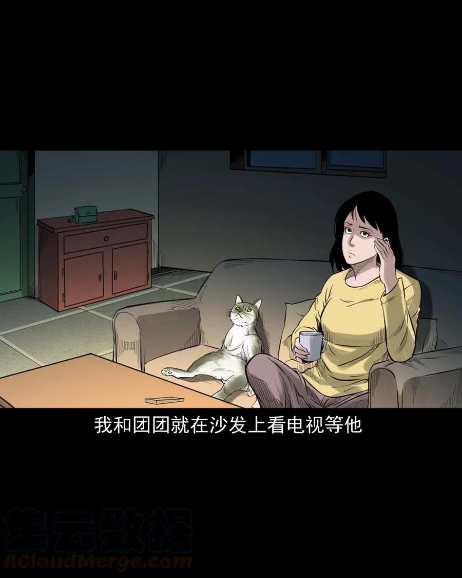 三老爷惊奇手札韩漫全集-511 猫看见了什么无删减无遮挡章节图片 